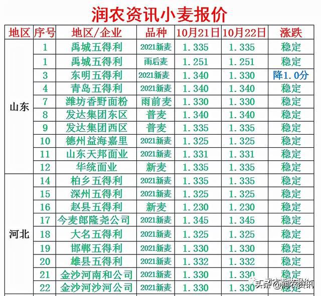 今日小麦价格动态，麦浪中的温情故事与市场走势分析