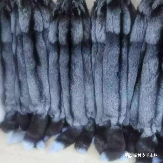 尚村蓝狐皮价格揭秘,小巷中的珍稀皮草宝藏