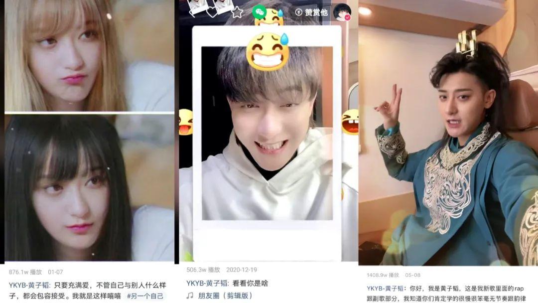 揭秘鲸鱼,不是明星却闪耀娱乐圈的魅力所在!