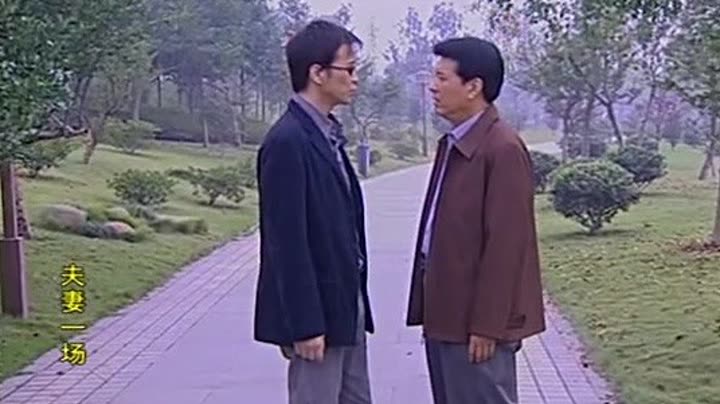 电视连续剧夫妻一场,观看指南与剧情概述