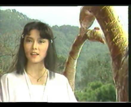 电视剧京华烟云，经典再现，情感与成长交织的感人故事