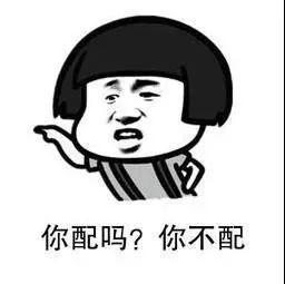 深度解读与观点阐述，最新分析与探讨