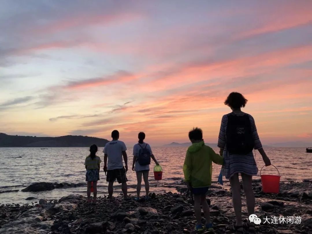 如何成为最新成功赶海人的指南秘籍