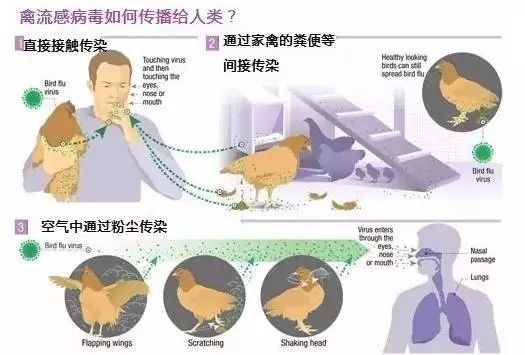 嘉兴流感科技革新，引领流感防控新时代的先锋利器