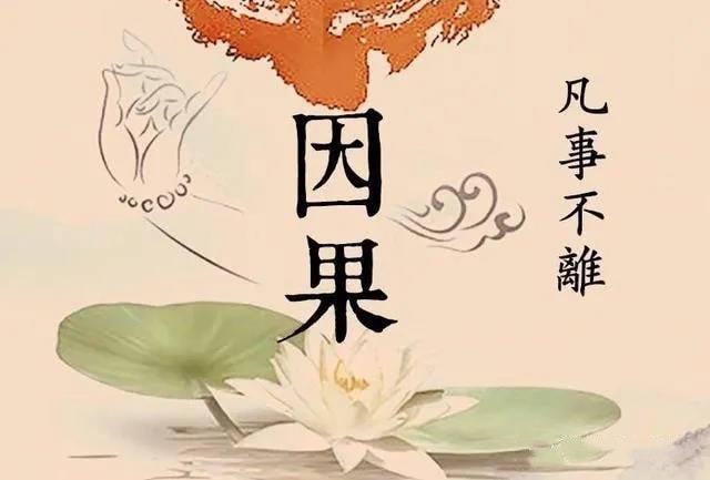 最新因果报应揭秘,时代背景与深远影响