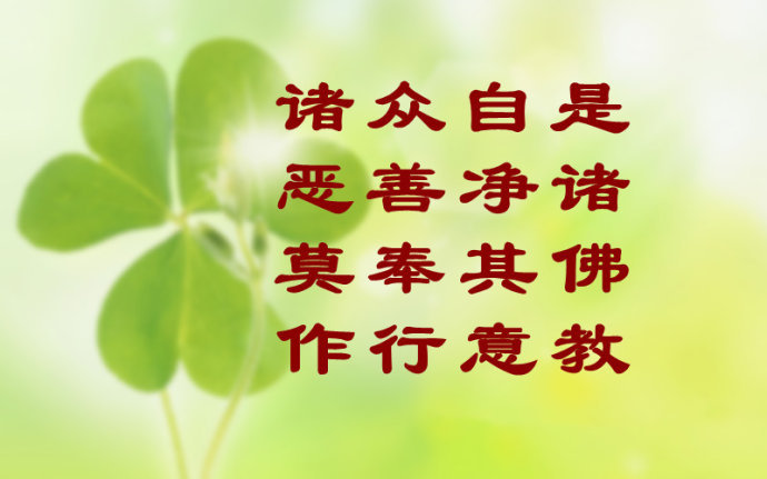 最新因果报应揭秘,时代背景与深远影响