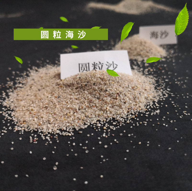 最新海砂采集与处理详解，一步步指南