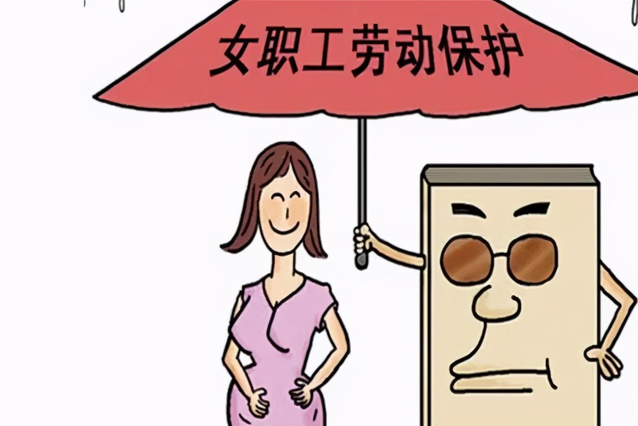 杭州最新产假政策下的独特小巷风情与美食探索