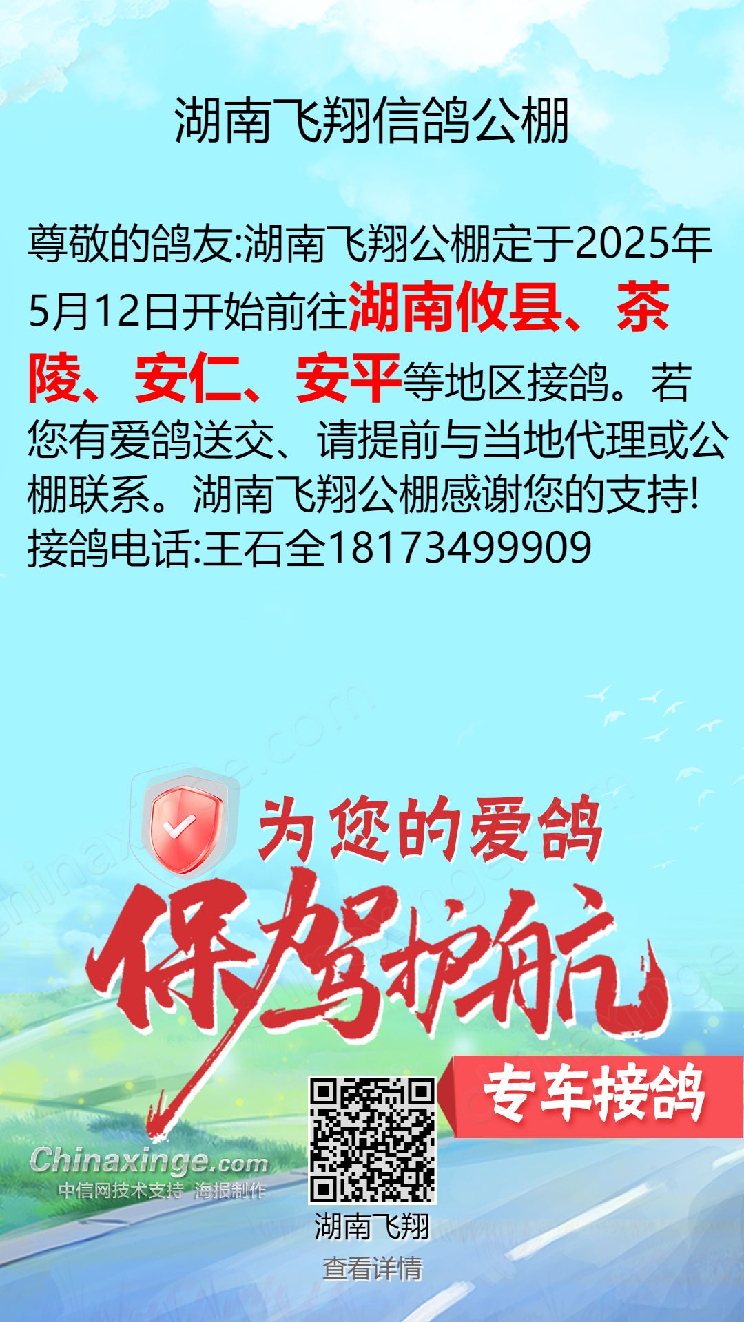 湖南最新禽的日常故事探秘